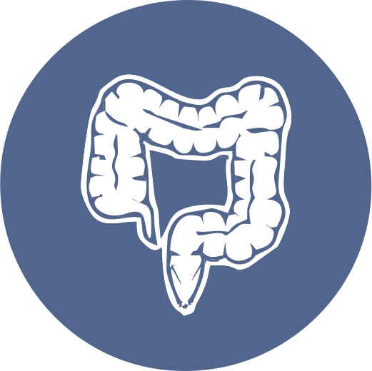 Logo del servicio Coloproctología