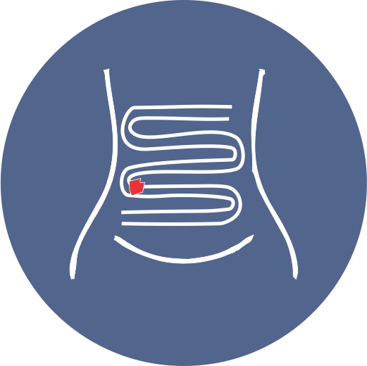 Logo del servicio Cirugía Gastrointestinal