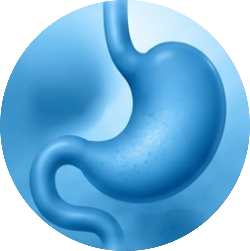 Grupo Endoscopia