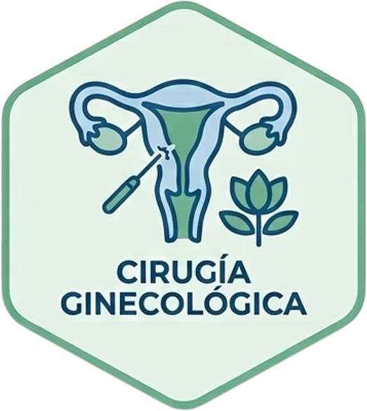 Cirugia Ginecologica